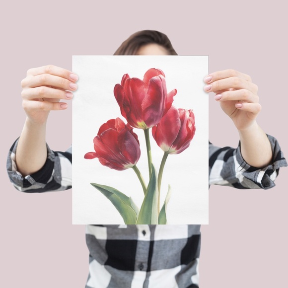 Watercolor Red Tulips Wall Art Illustration Print Poster Unframed - Picture 3 of 6